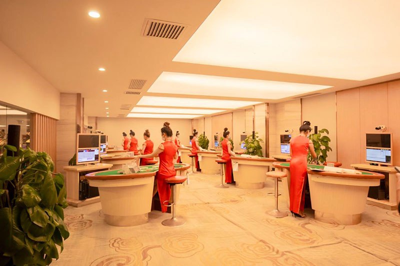 小母鸡